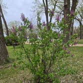 Review photo of Johnson Lake State Recreation Area by Tarrah C., April 28, 2024