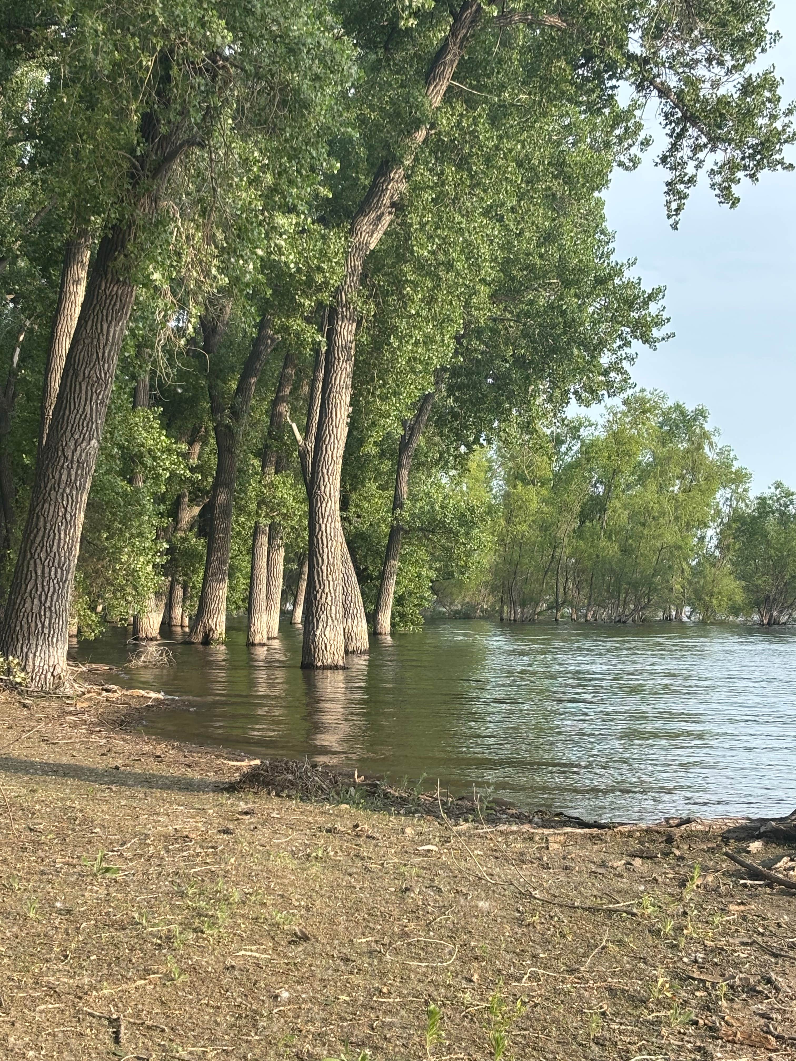 Camper submitted image from West Wind - Lake Minatare SRA - 5
