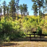 Review photo of Red Cloud Campground by Fred S., September 9, 2024