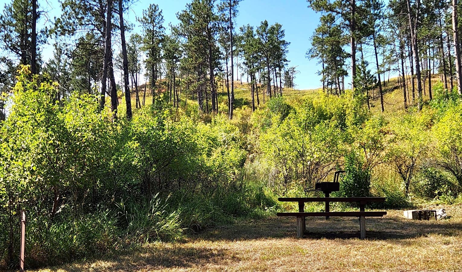 Camper submitted image from Red Cloud Campground - 5