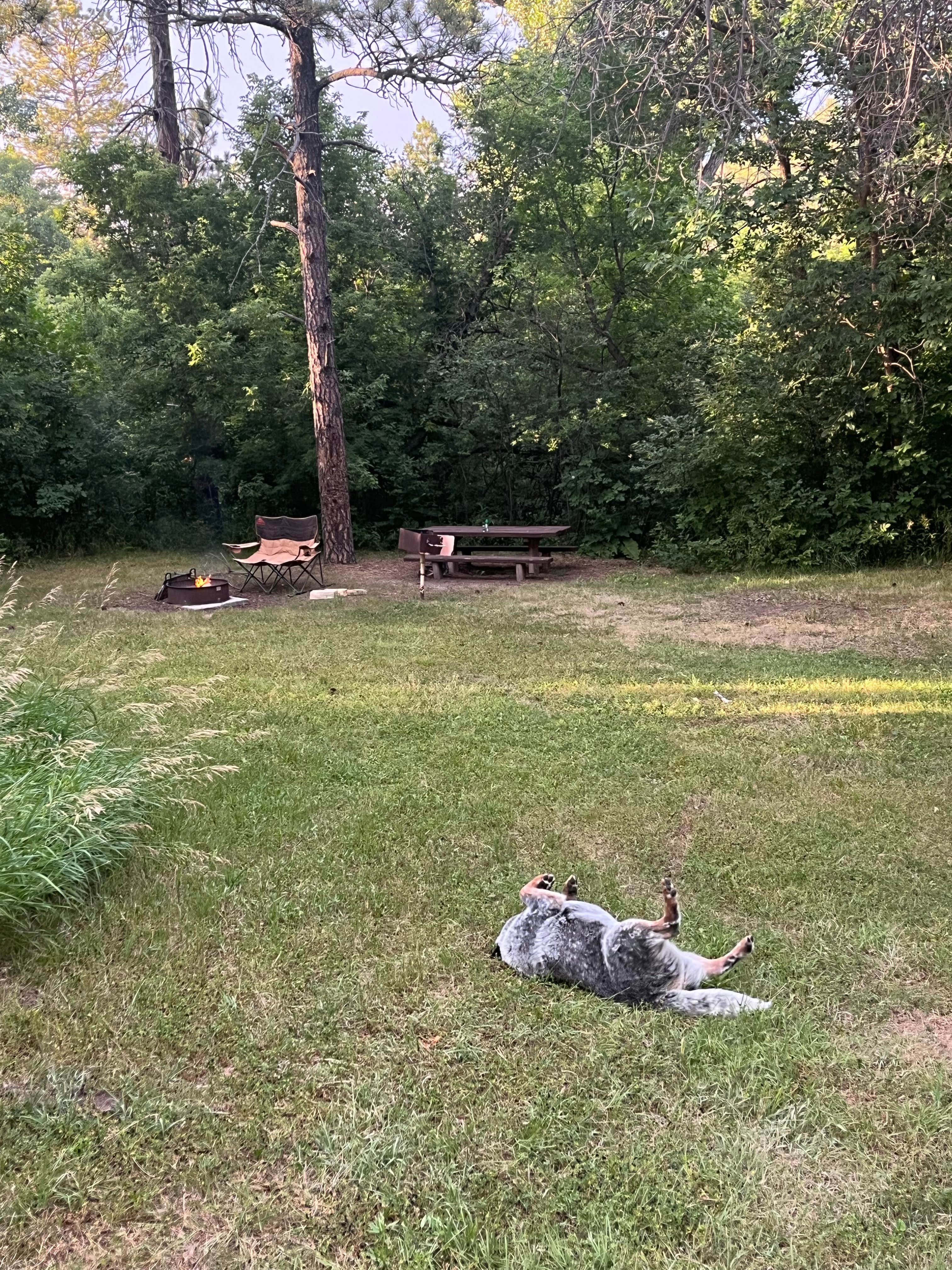 Camper-submitted photo at Red Cloud (Ne) Nebraska Nf — Nebraska National Forests And Grasslands near Nebraska National Forests and Grasslands