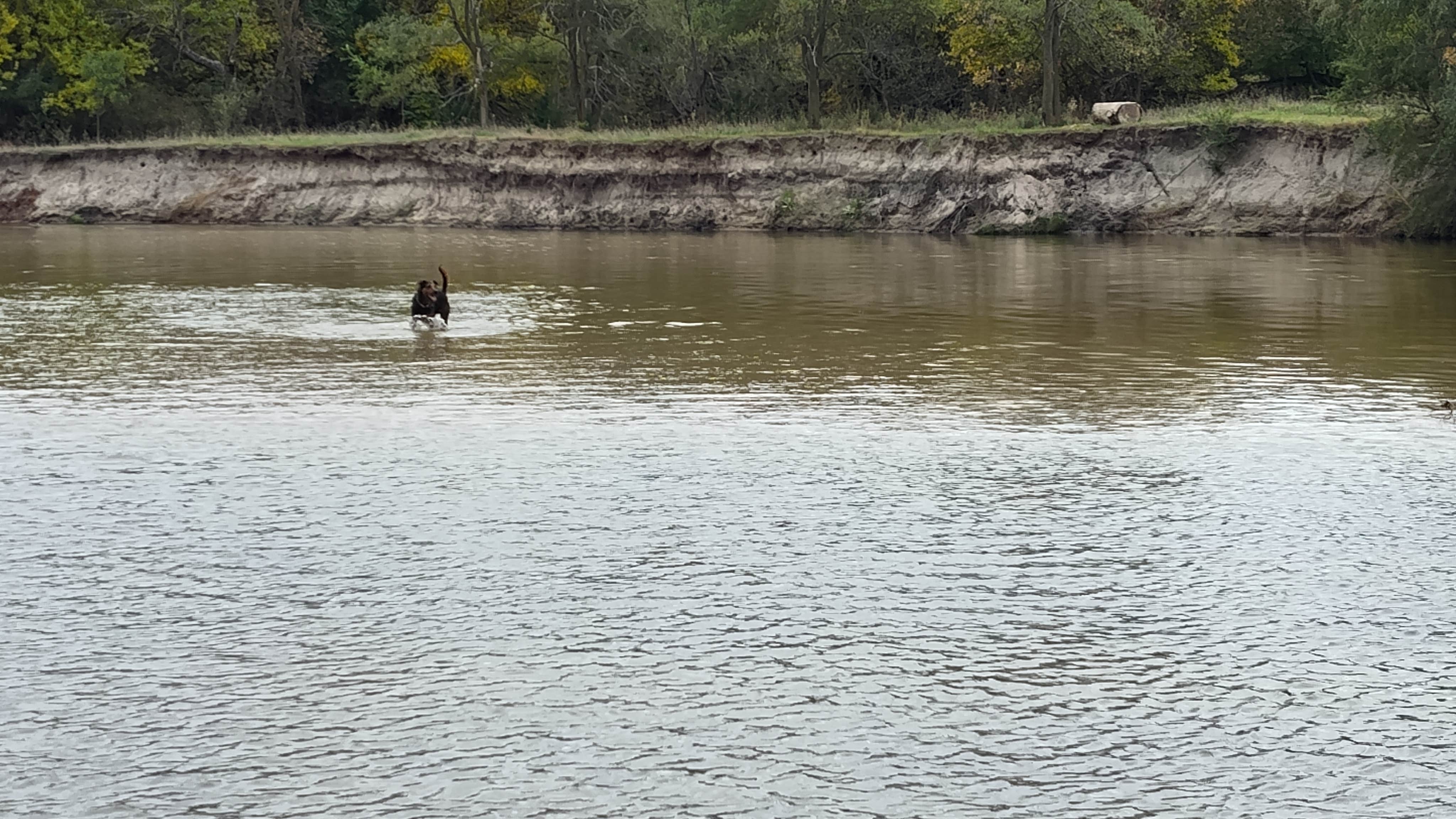 Camper-submitted photo at Riverside Park near Pierce, NE