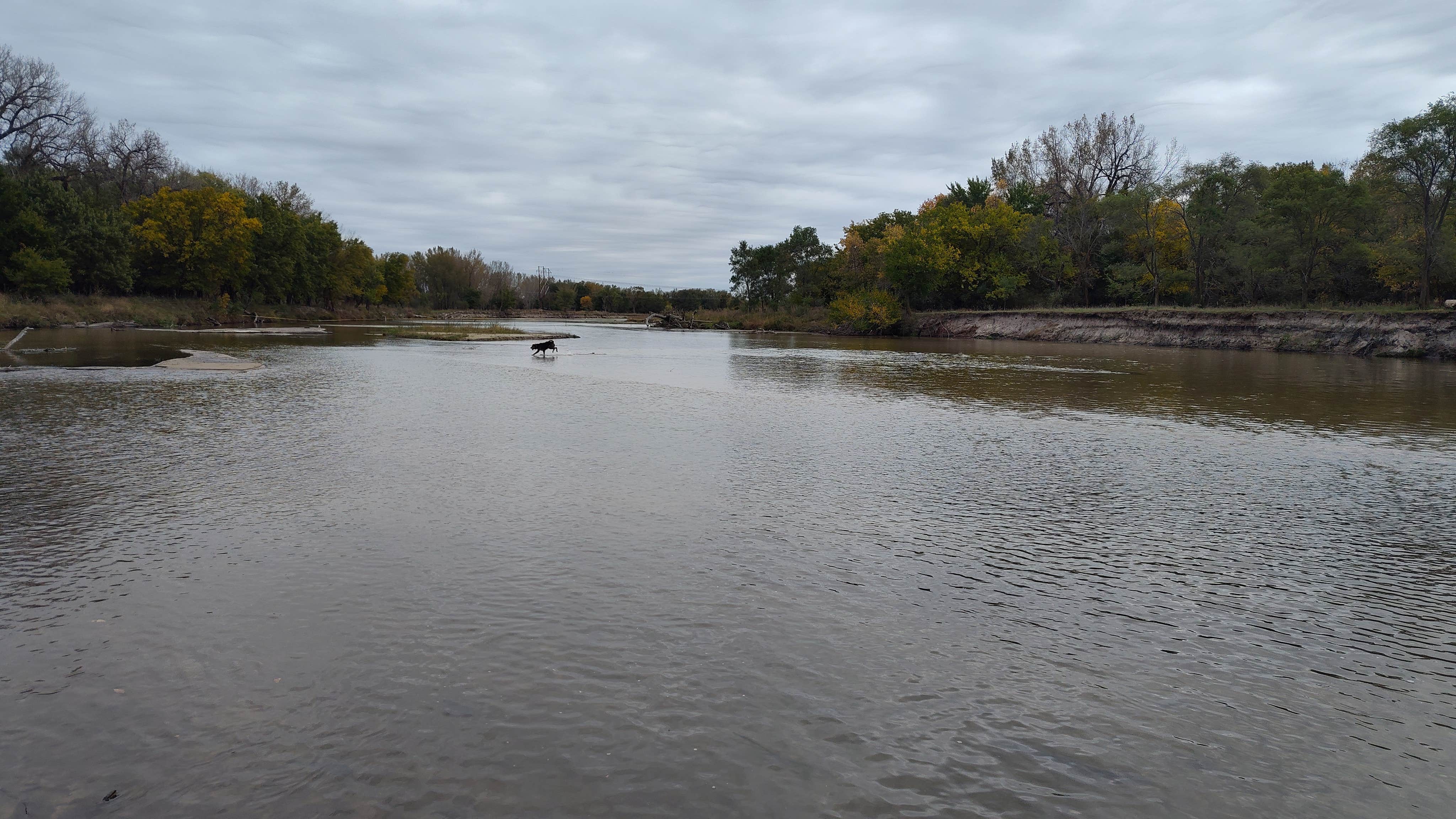 Camper-submitted photo at Riverside Park near Pierce, NE