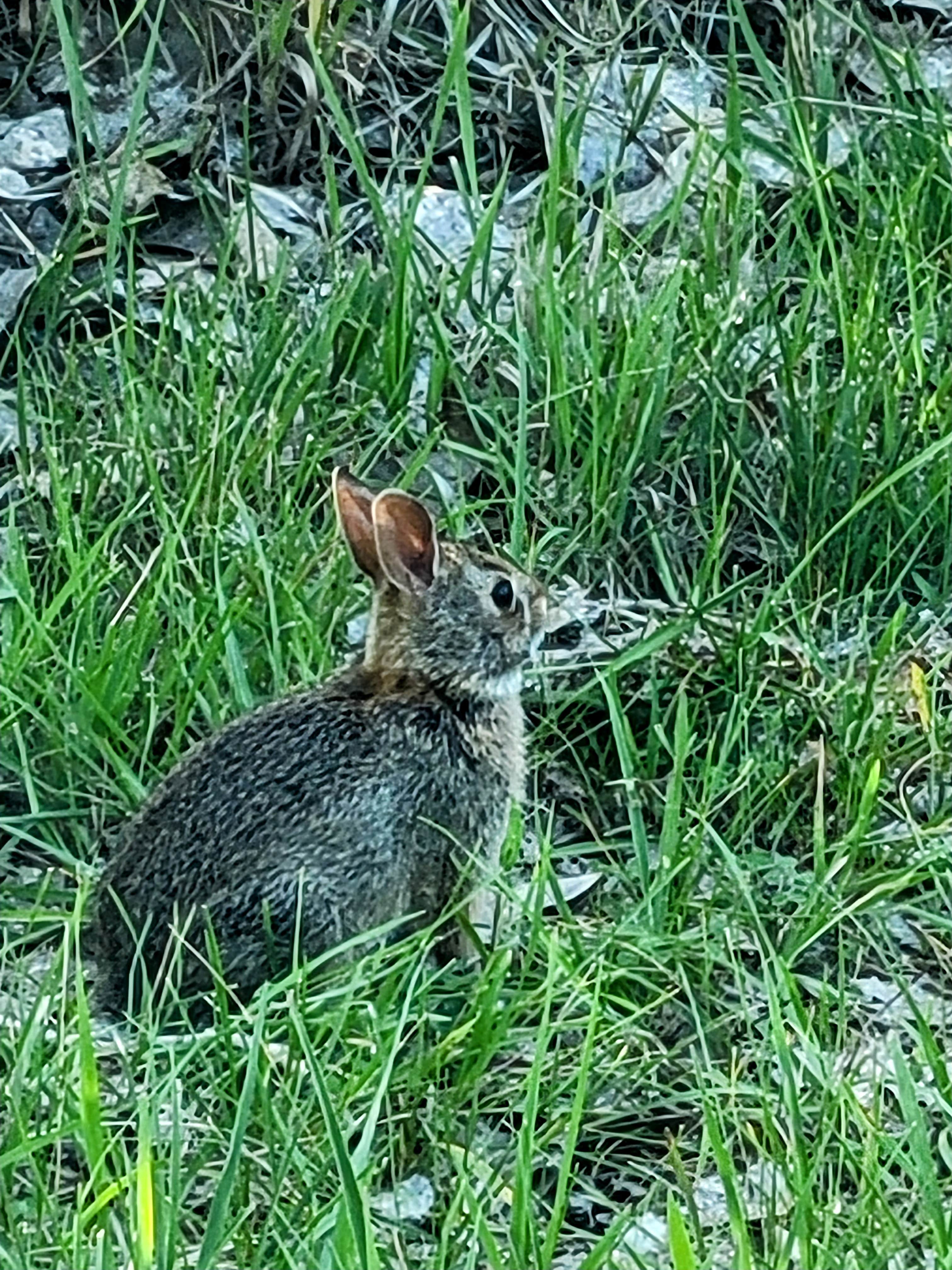 Camper-submitted photo at Sandy Channel State Rec Area near Kearney, NE