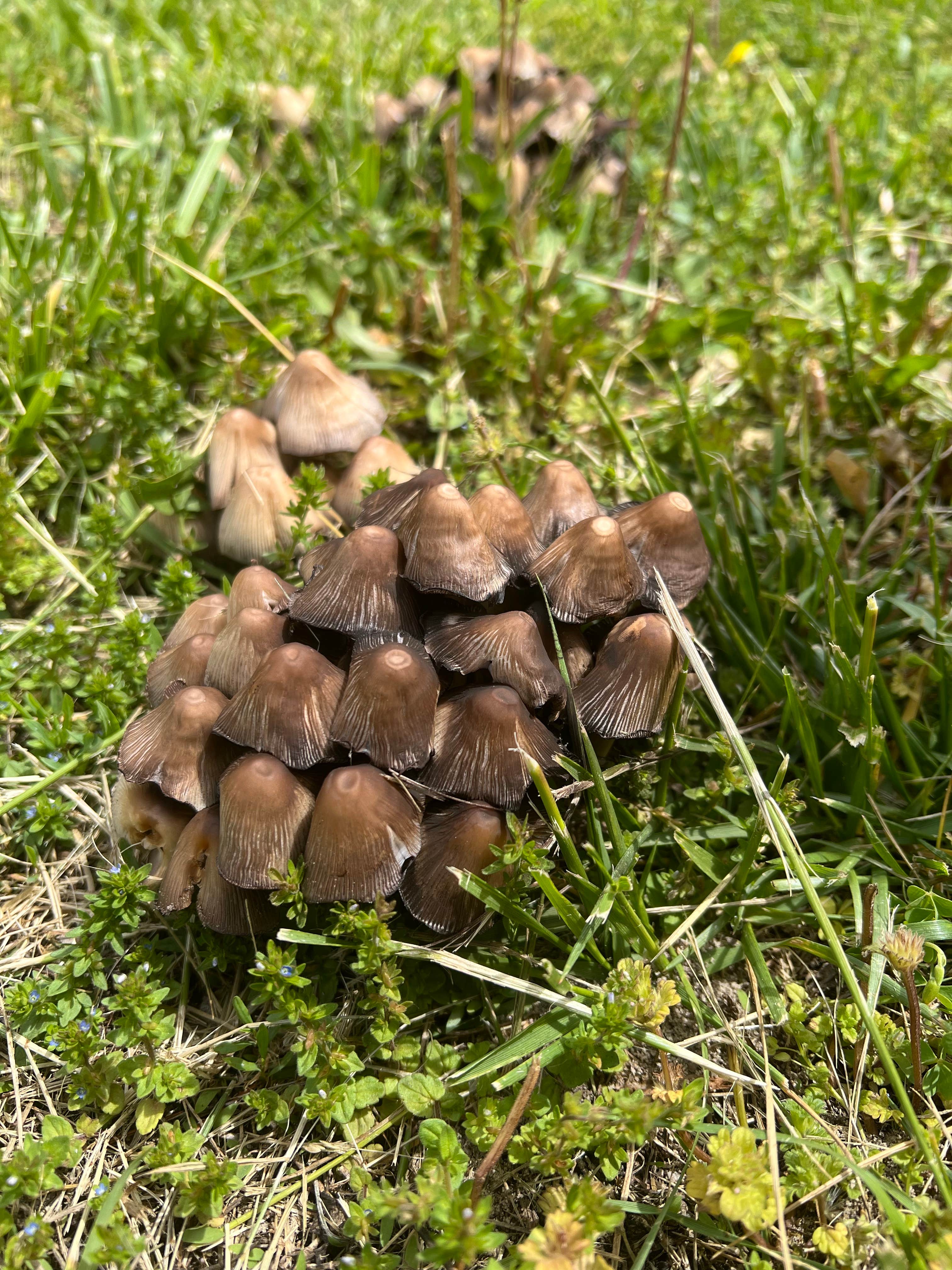 Camper-submitted photo at Riverside Campground — Two Rivers SRA near Pisgah, IA