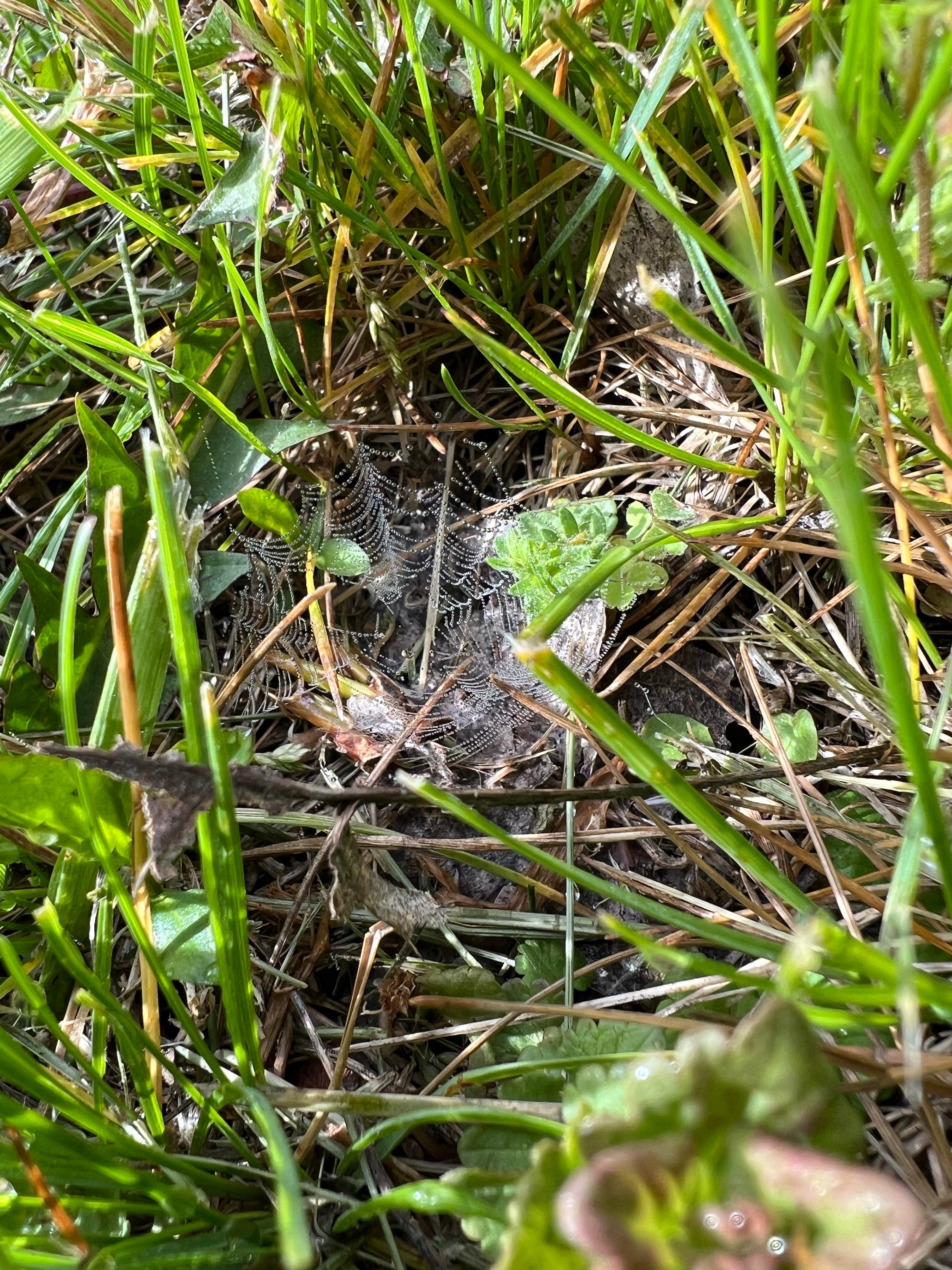 Camper-submitted photo at Riverside Campground — Two Rivers SRA near Pisgah, IA