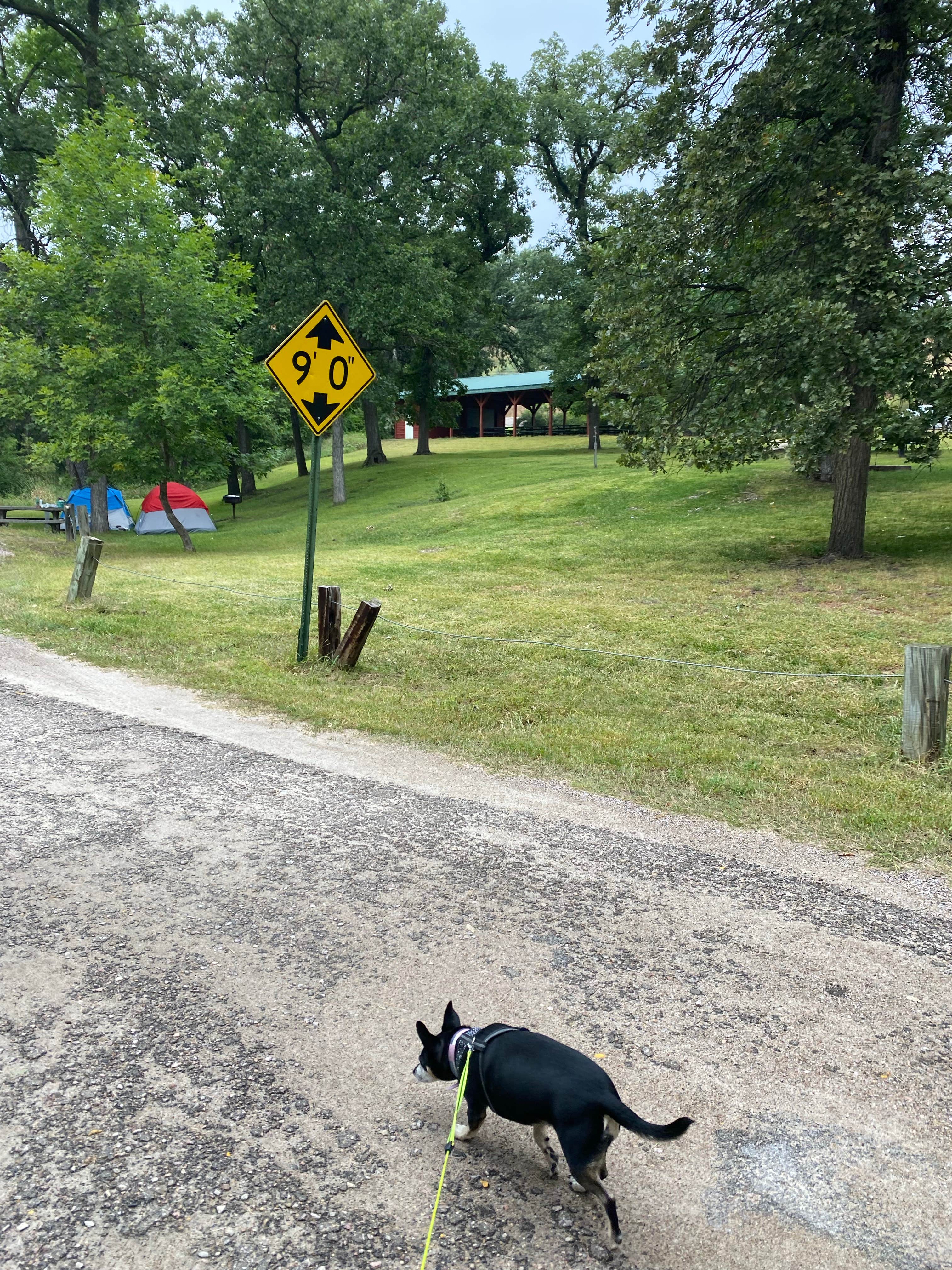 Shannon G.'s photo of camping with pets at Valentine City Park near Sparks, NE