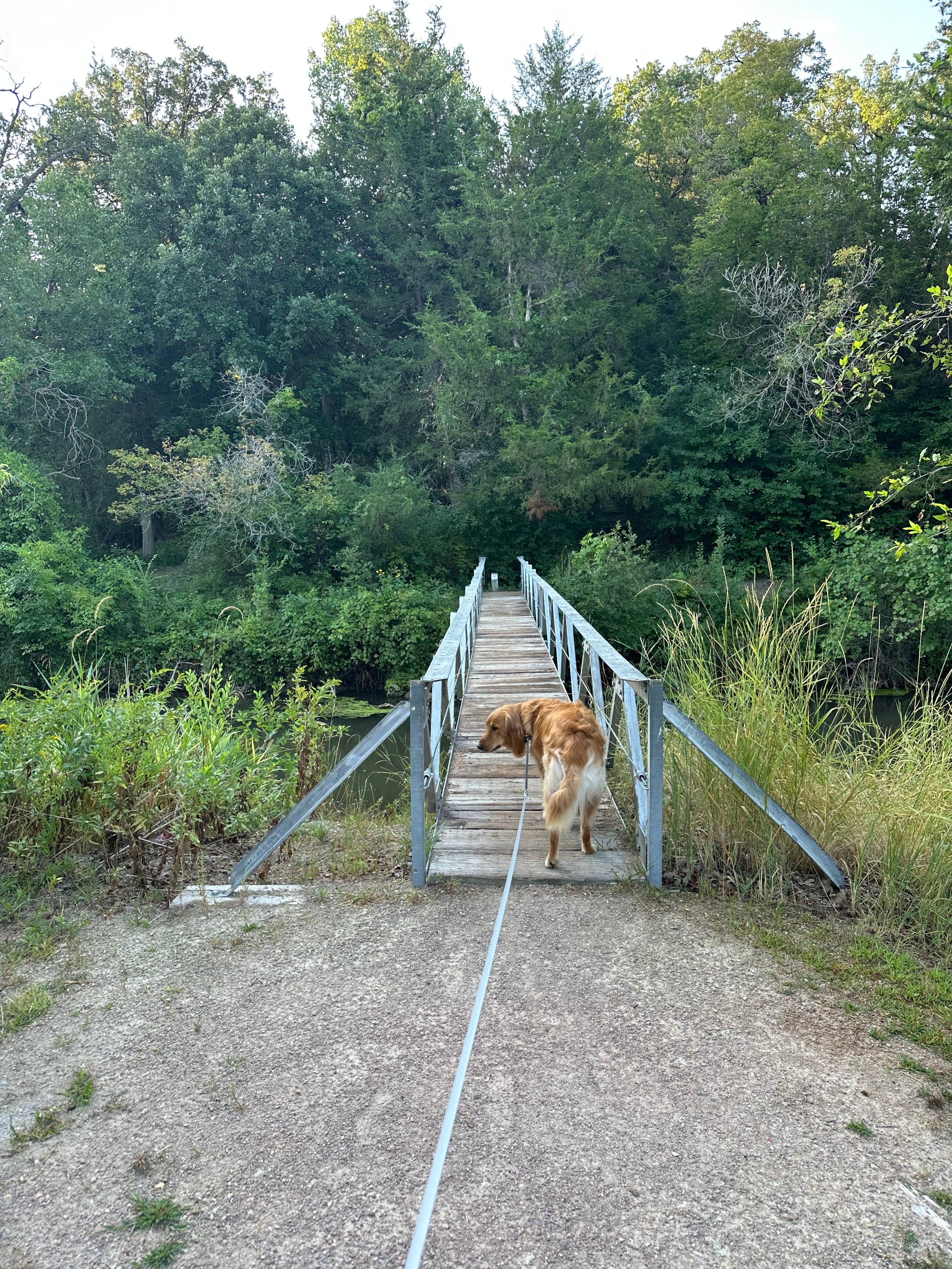 Jacob S.'s photo of camping with pets at Valentine City Park near Sparks, NE
