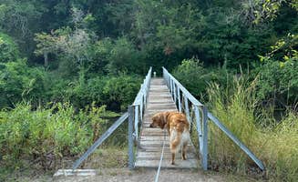 Jacob S.'s photo of camping with pets at Valentine City Park in Nebraska
