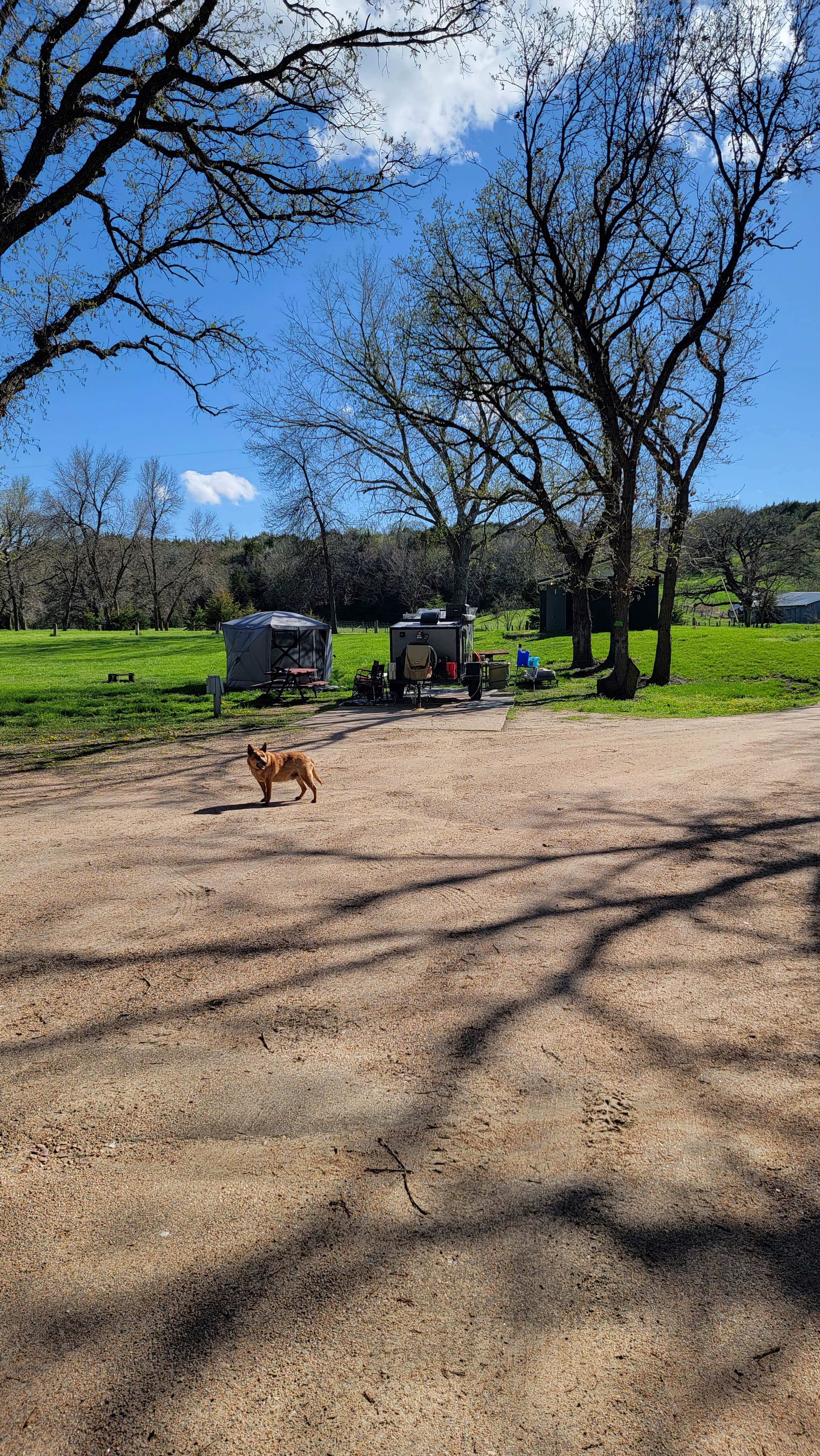 Bibs O.'s photo of camping with pets at Wildwood Acres Park near Norfolk, NE