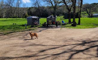 Bibs O.'s photo of camping with pets at Wildwood Acres Park in Nebraska