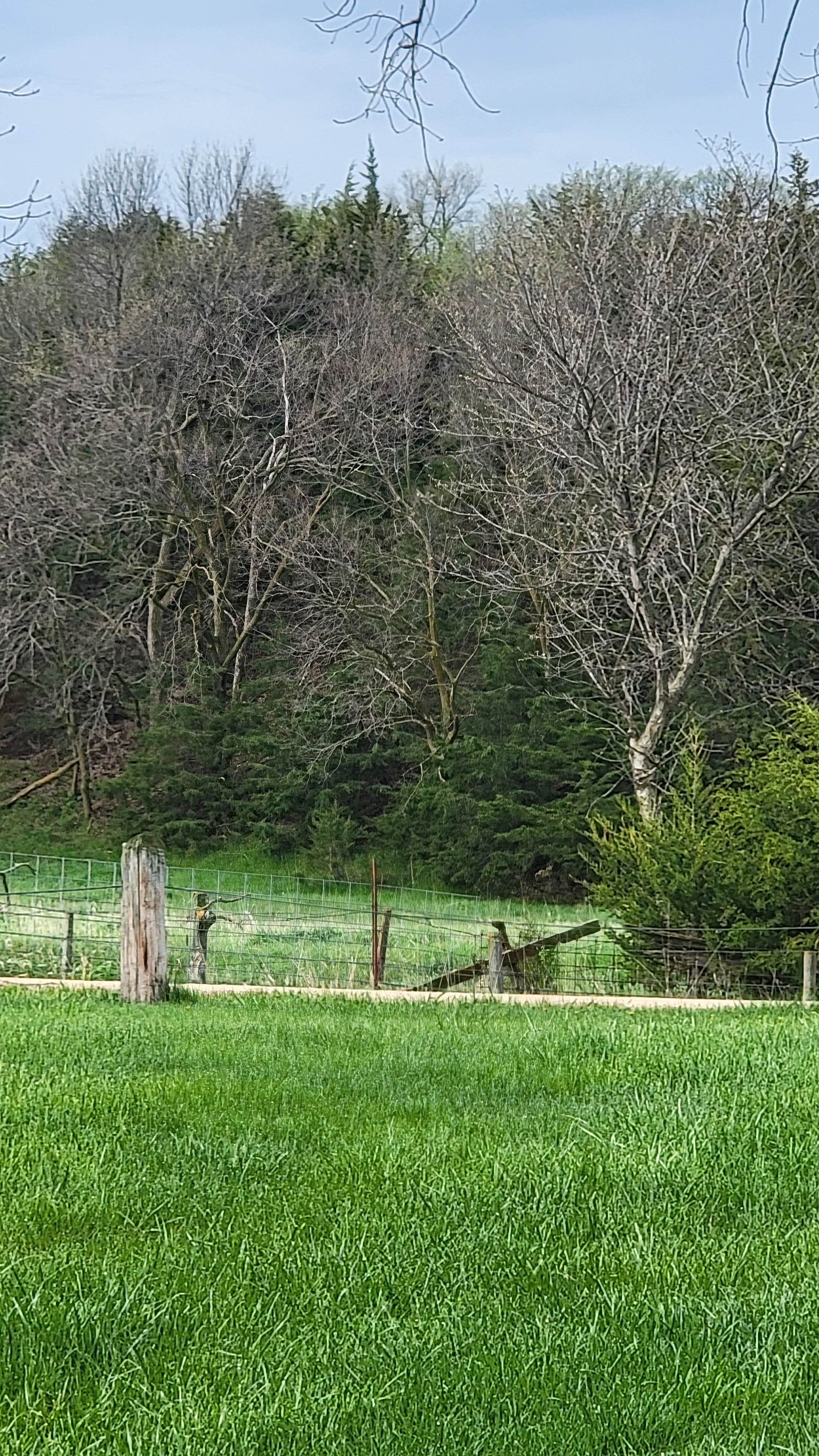 Camper-submitted photo at Wildwood Acres Park near Royal, NE