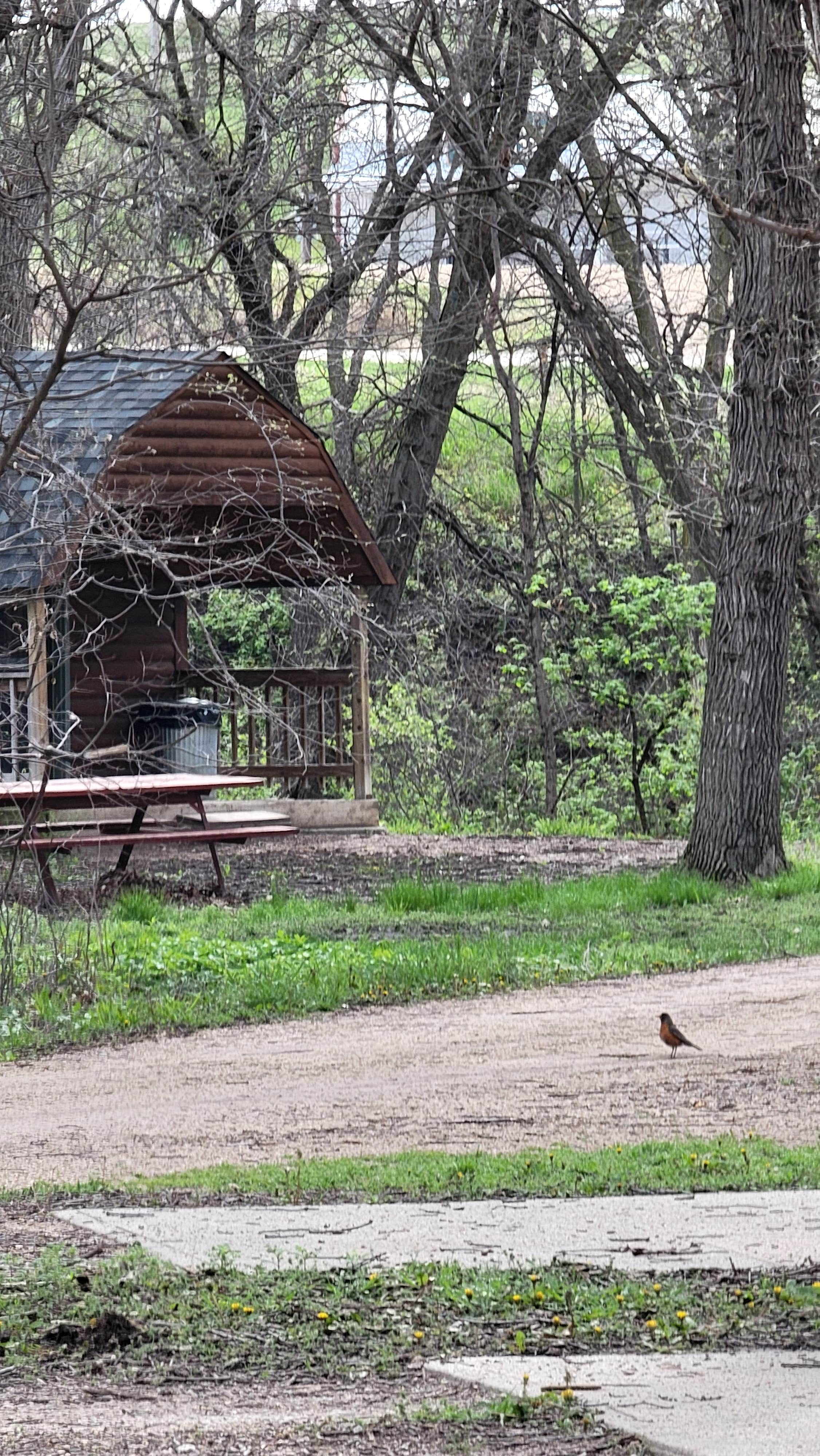Bibs O.'s photo of a cabin at Wildwood Acres Park near Yankton, SD