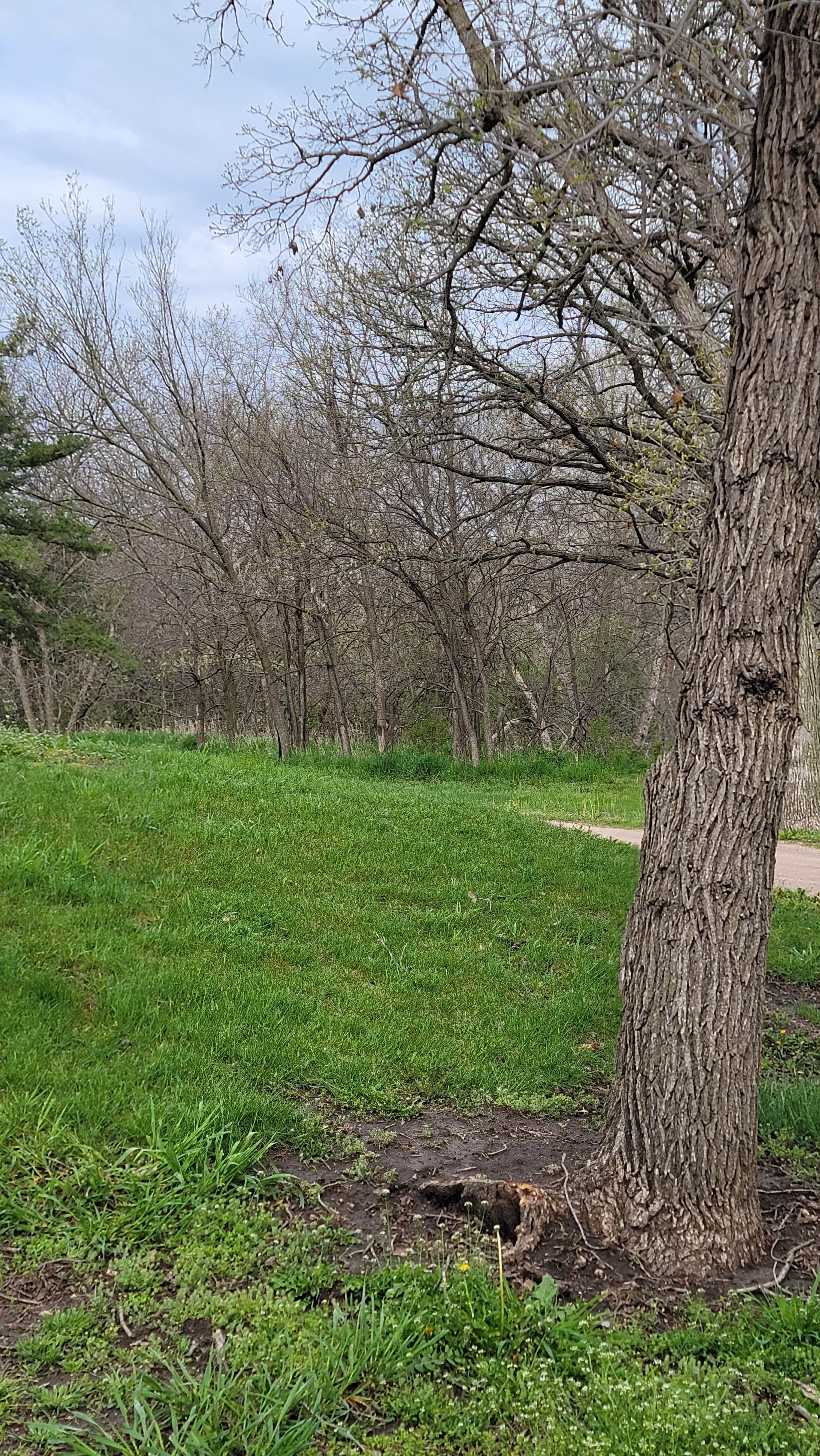 Camper-submitted photo at Wildwood Acres Park near Royal, NE