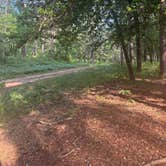 Review photo of Neches Bluff Overlook Campground by Jennifer M., April 25, 2025