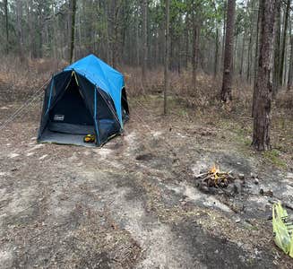Camper-submitted photo from Rusk KOA