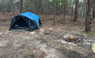 Austin B.'s photo of a dispersed camping area at Neches Bluff Overlook Campground near Henderson, TX