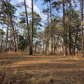 Review photo of Neches Bluff Overlook Campground by Lynn , February 22, 2026
