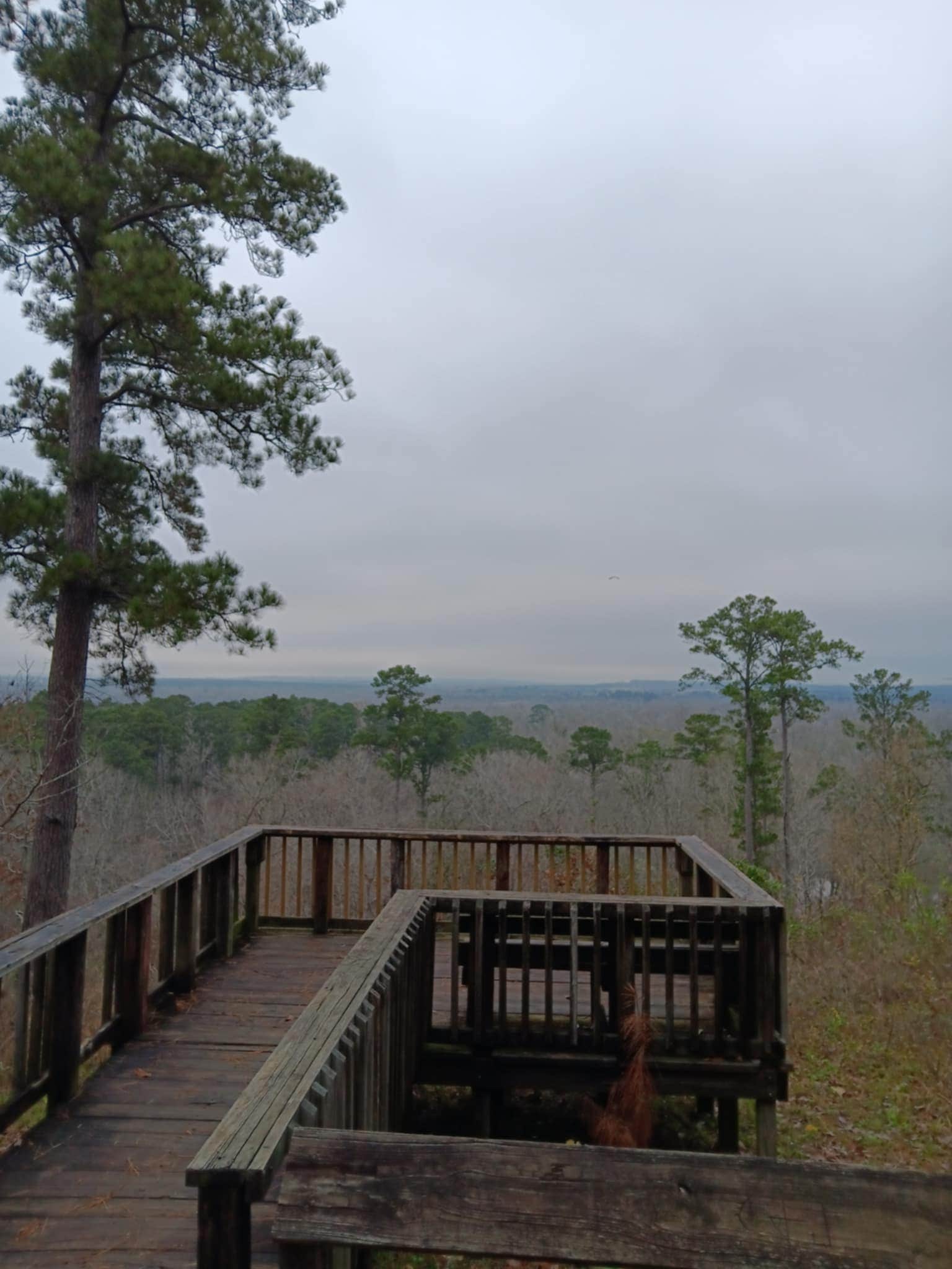 Jadon B.'s photo of a dispersed camping area at Neches Bluff Overlook Campground near Mount Enterprise, TX