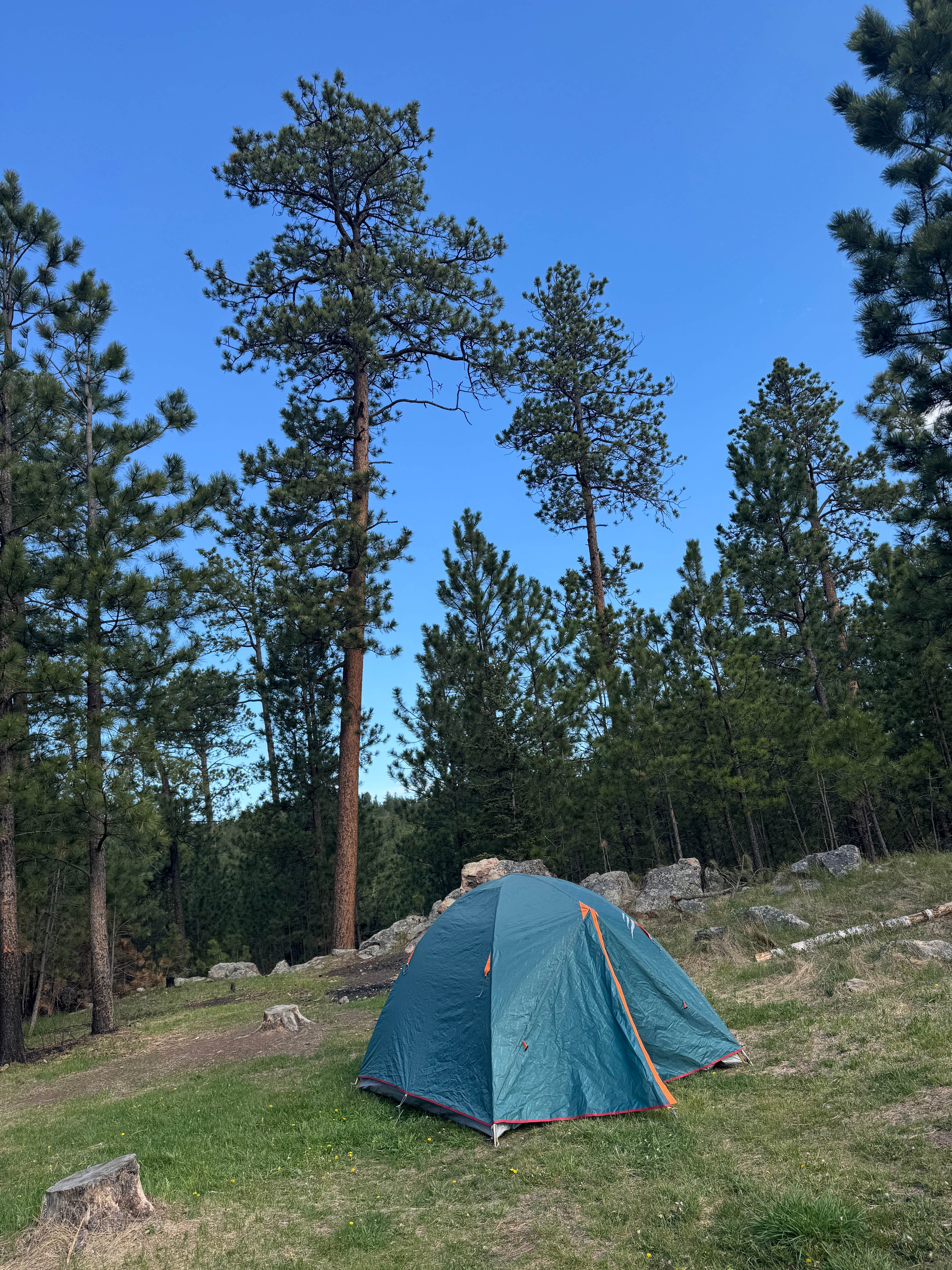 Camping near Sylvan Lake Campground — Custer State Park: Needles Highway Dispersed Site, Hill City, South Dakota
