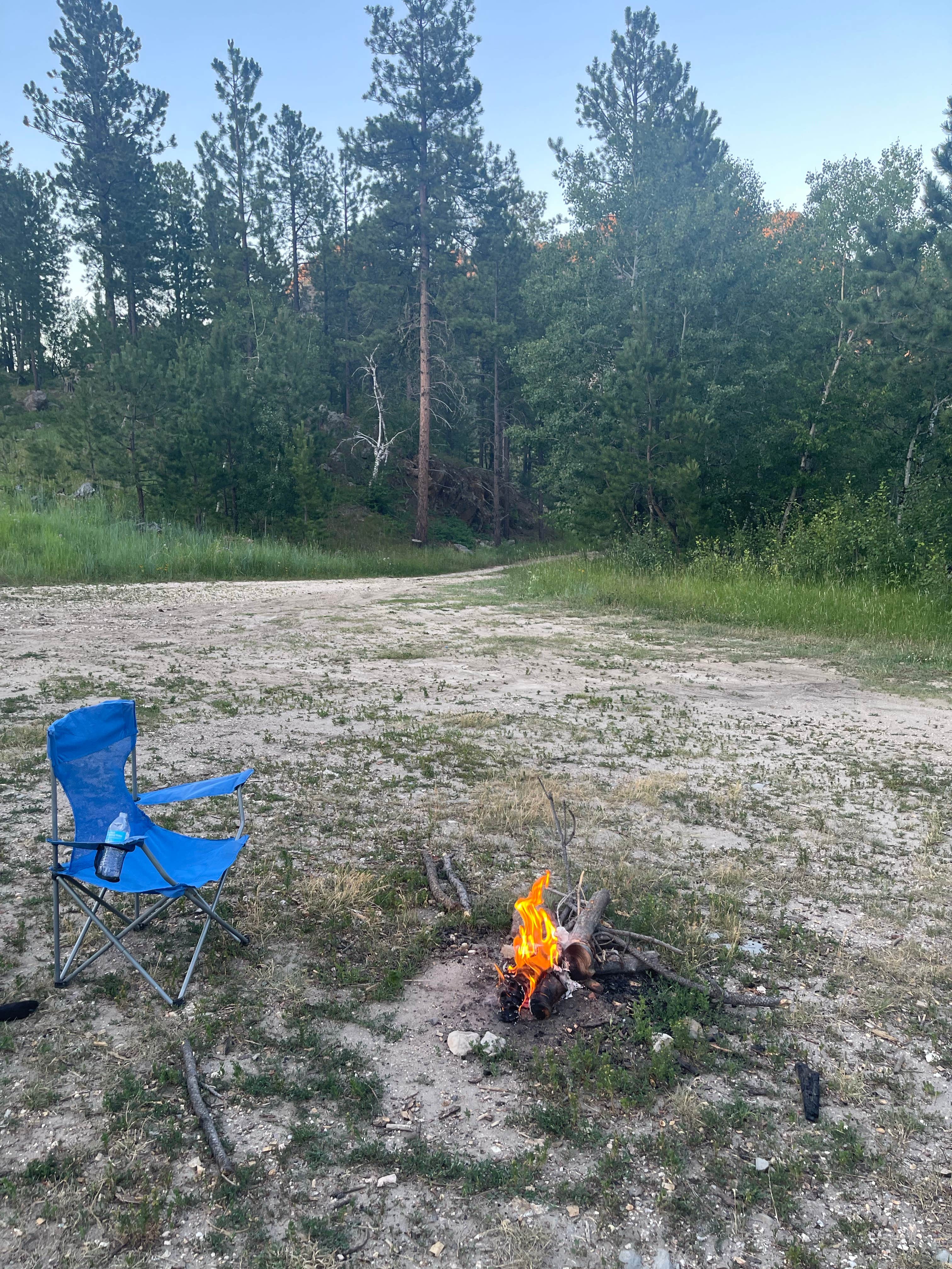 Camping near Cicero Peak Road Dispersed Campsite: Needles Highway Dispersed Site, Hill City, South Dakota