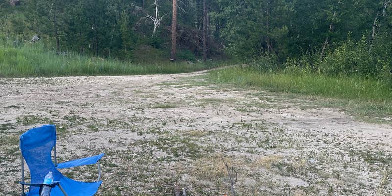 Camper submitted image from Needles Highway Dispersed Site