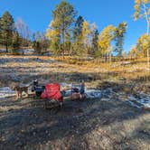 Review photo of Needles Highway Dispersed Site by Nicholas S., October 15, 2023