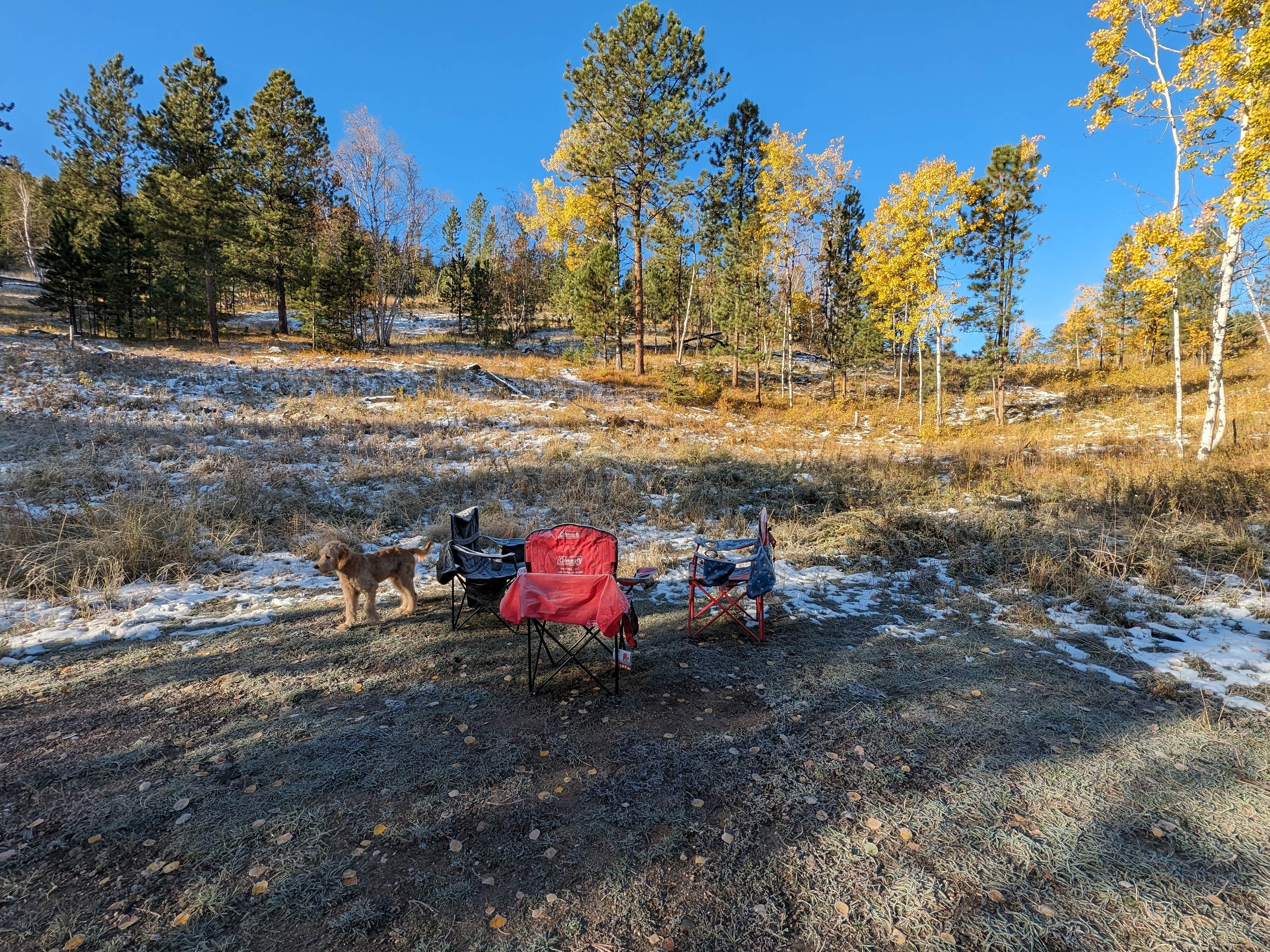 Camper submitted image from Needles Highway Dispersed Site - 3