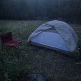 Review photo of Needles Highway Dispersed Site by Matt G., September 22, 2026