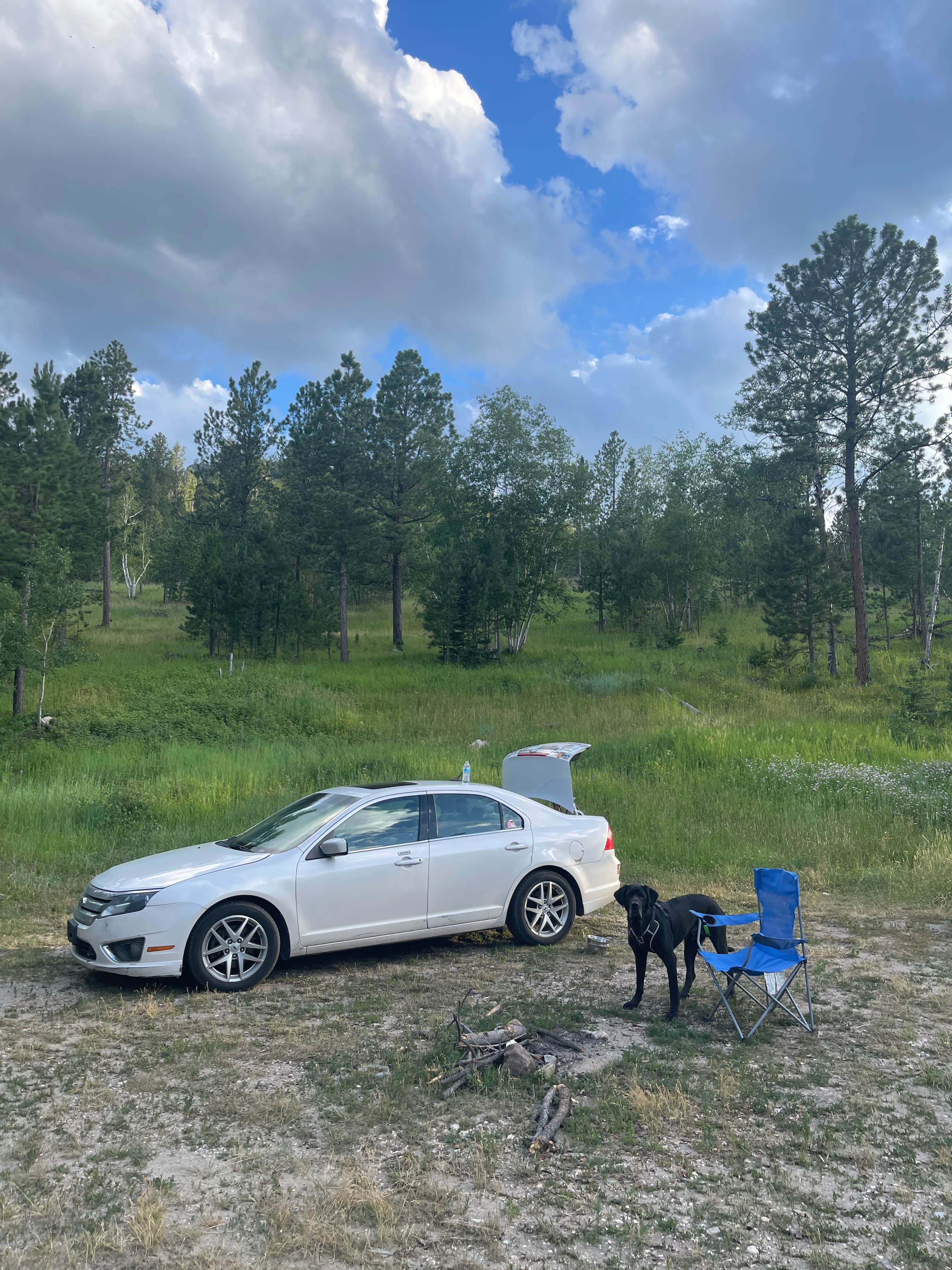 samuel C.'s photo of camping with pets at Needles Highway Dispersed Site near Black Hills National Forest