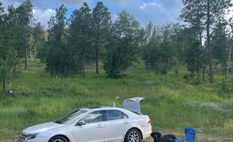 samuel C.'s photo of a dispersed camping area at Needles Highway Dispersed Site near Nemo, SD