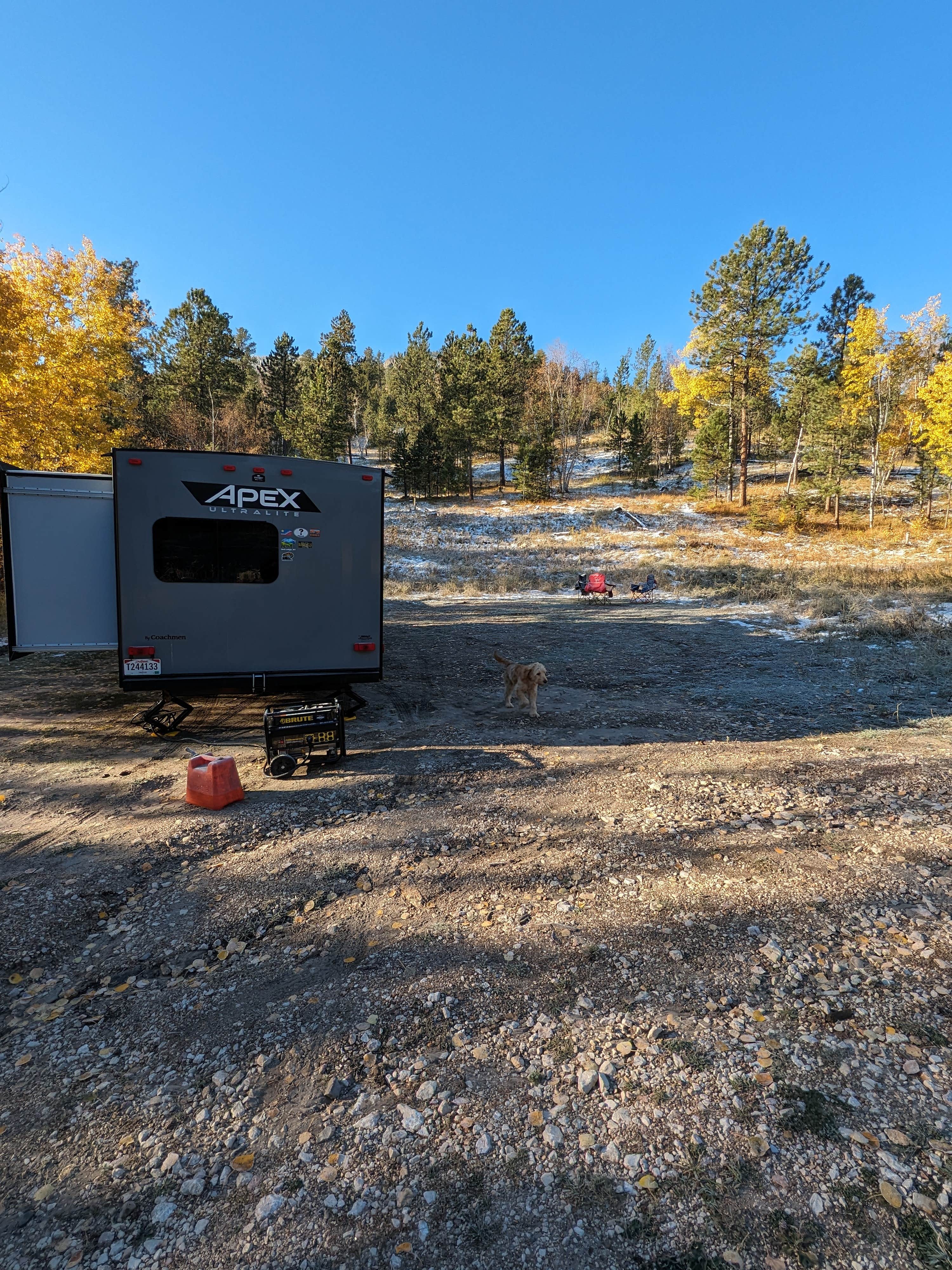 Camper submitted image from Needles Highway Dispersed Site - 5
