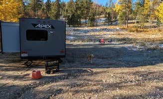 Nicholas S.'s photo of camping with pets at Needles Highway Dispersed Site near Black Hills National Forest