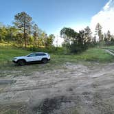 Review photo of Needles Highway Dispersed Site by Andrew S., July 14, 2026
