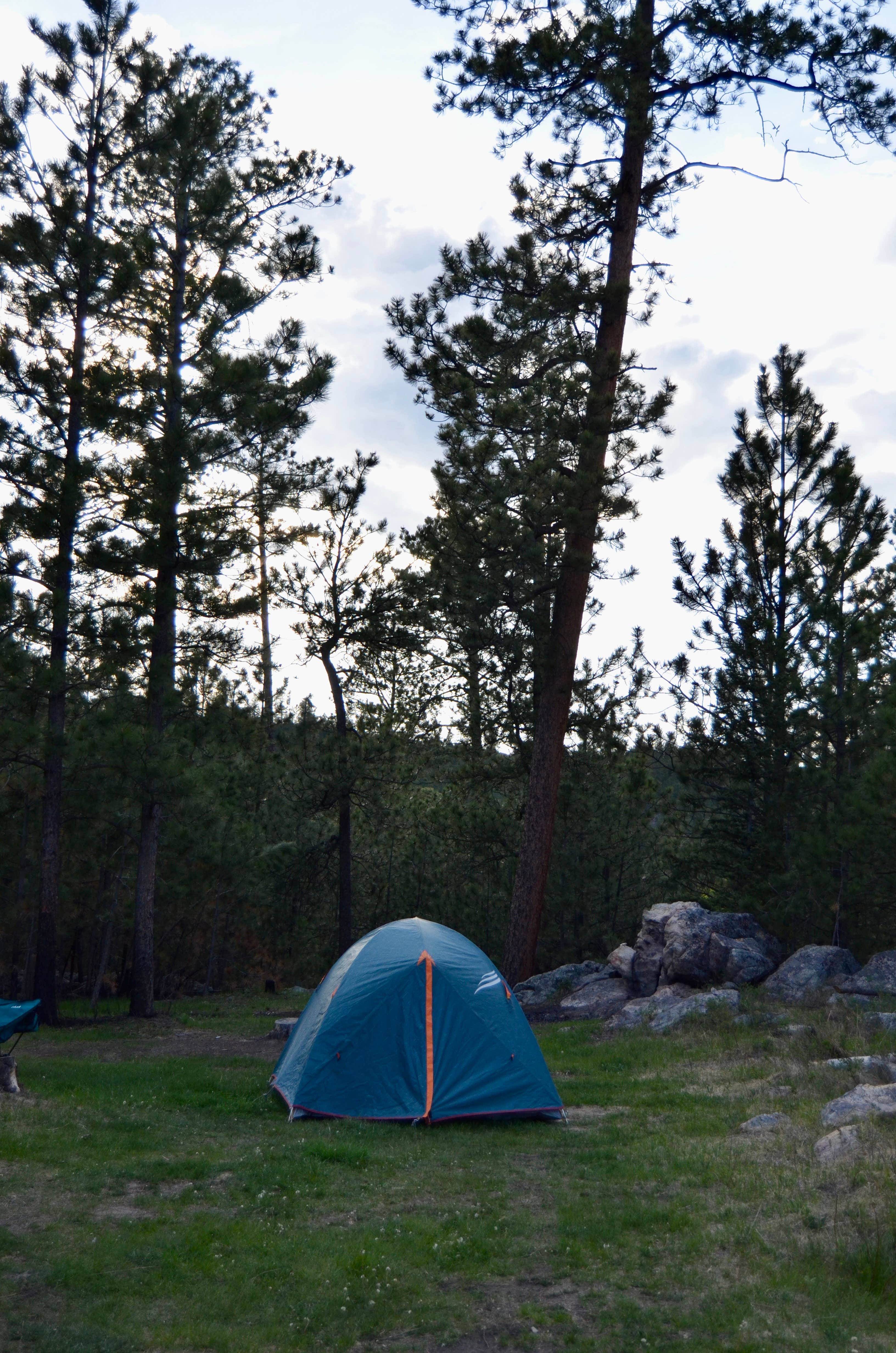 Camper-submitted photo at Needles Highway Dispersed Site near Keystone, SD