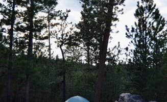 Jenna G.'s photo of camping with pets at Needles Highway Dispersed Site near Black Hills National Forest