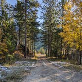 Review photo of Needles Highway Dispersed Site by Nicholas S., October 15, 2023