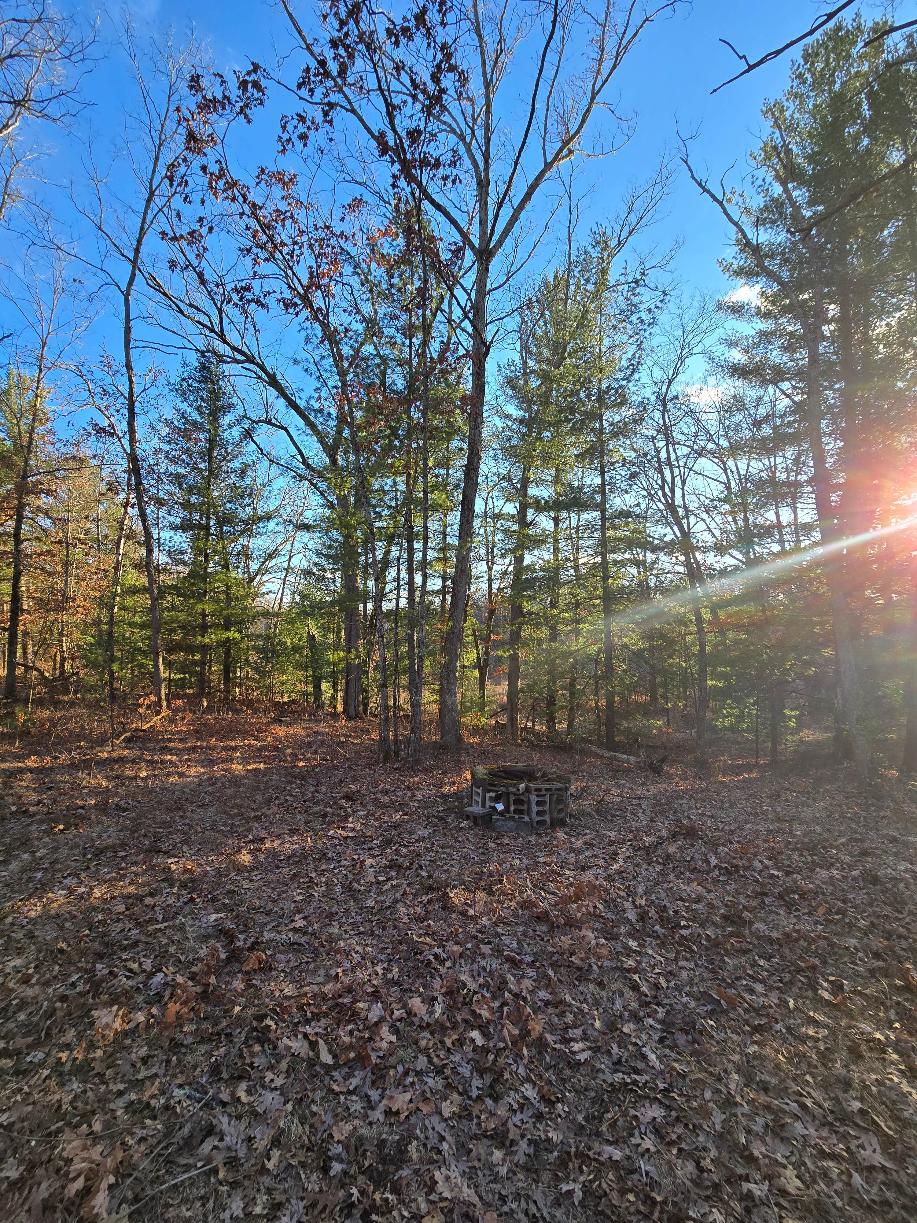 N M.'s photo of a dispersed camping area at Neil's Secret Spot near Ludington, MI