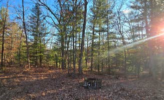 N M.'s photo of a dispersed camping area at Neil's Secret Spot near Buckley, MI