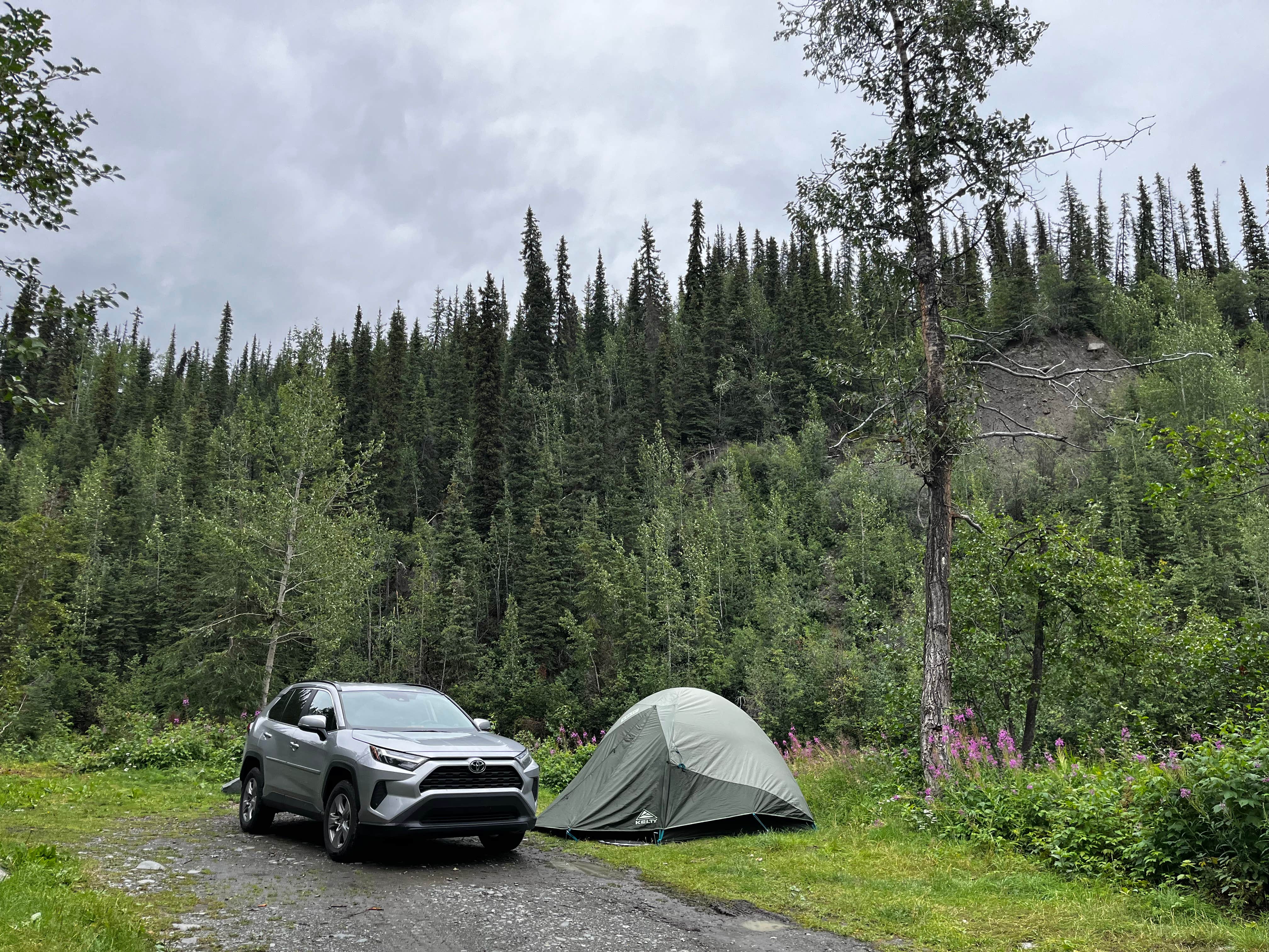 Camper submitted image from Nelchina River - 1