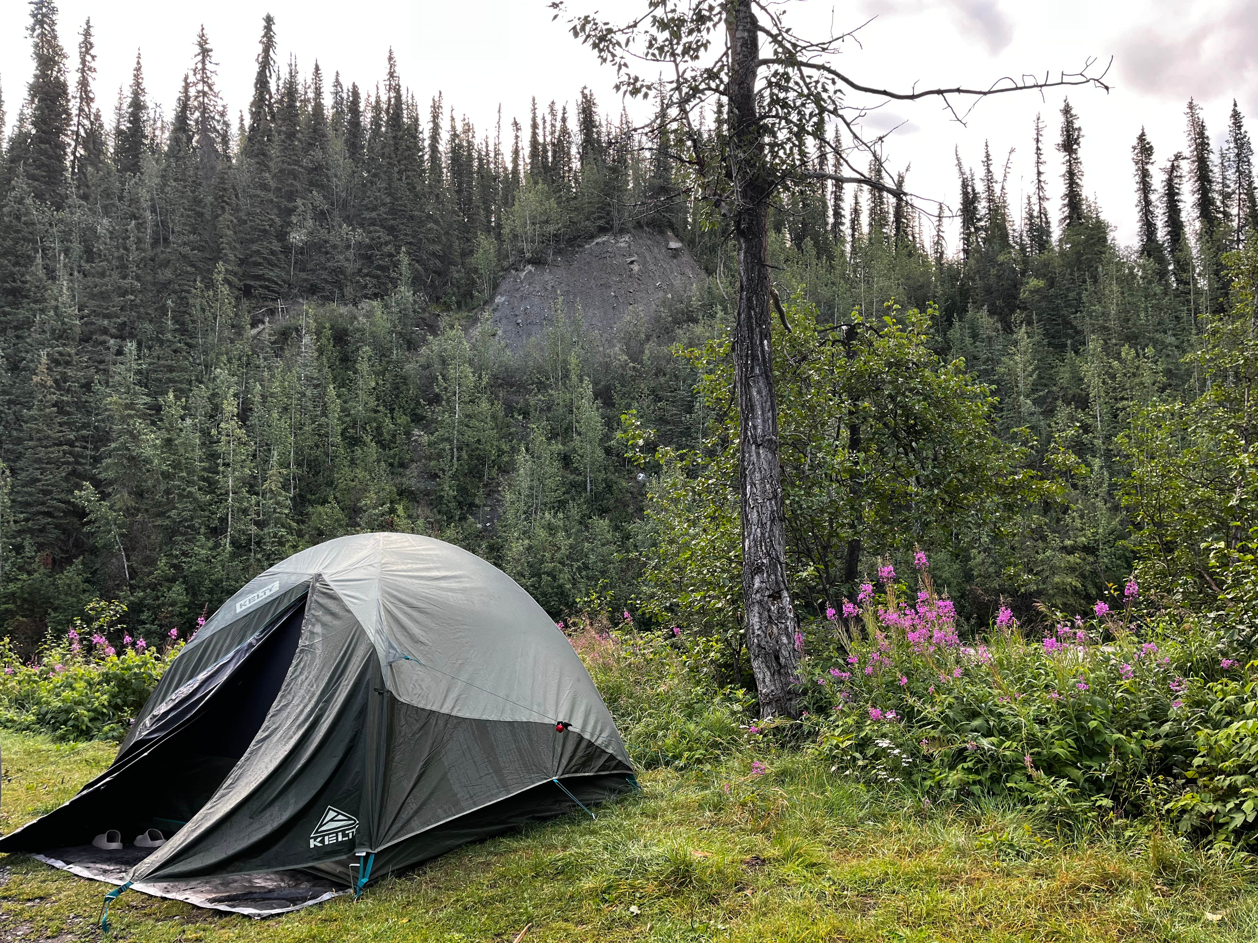 Camper submitted image from Nelchina River - 2