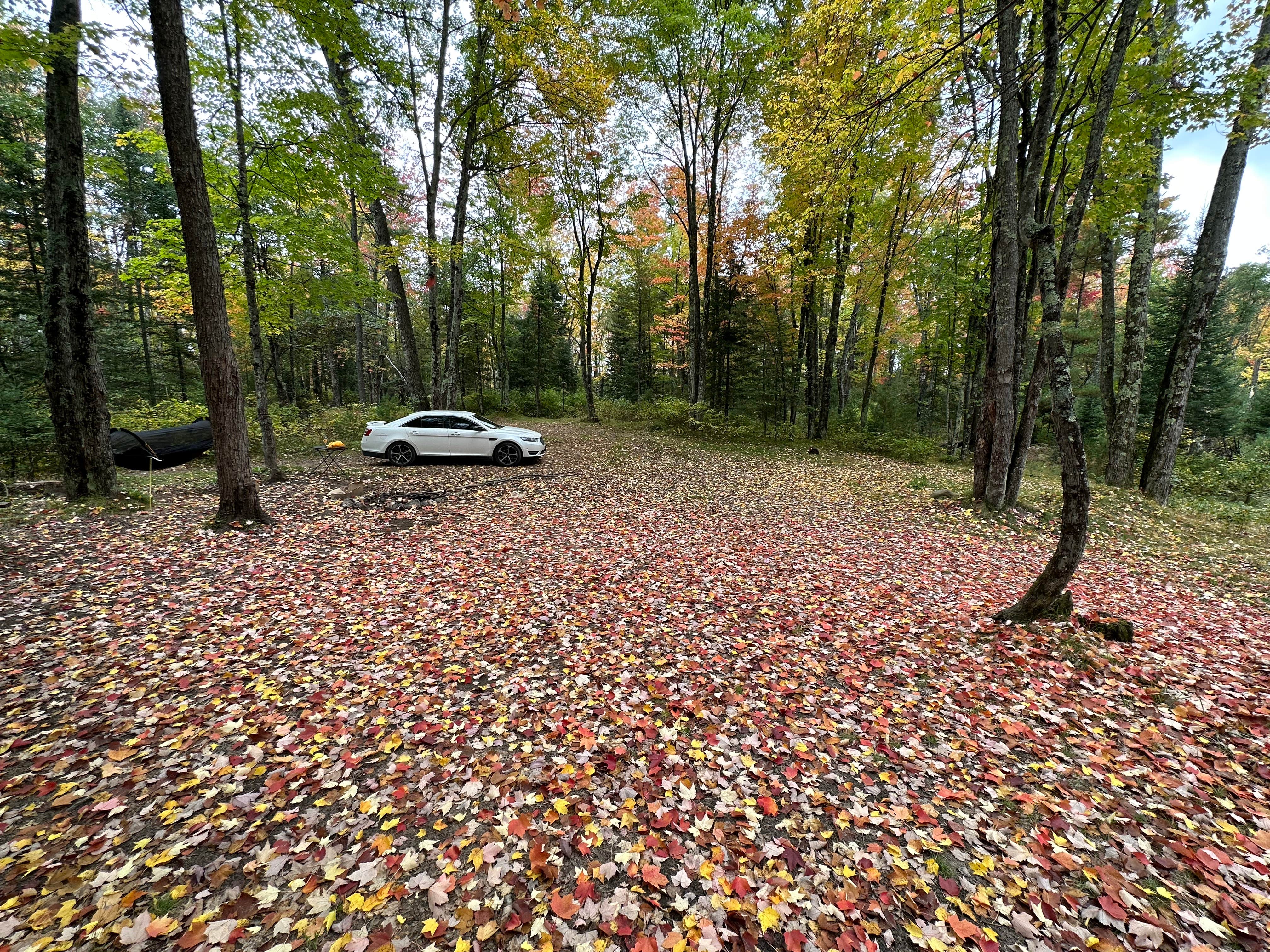 Camper submitted image from Nelligan Lake - 2