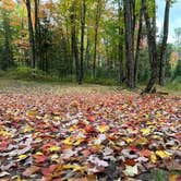 Review photo of Nelligan Lake by Jacob B., September 30, 2023