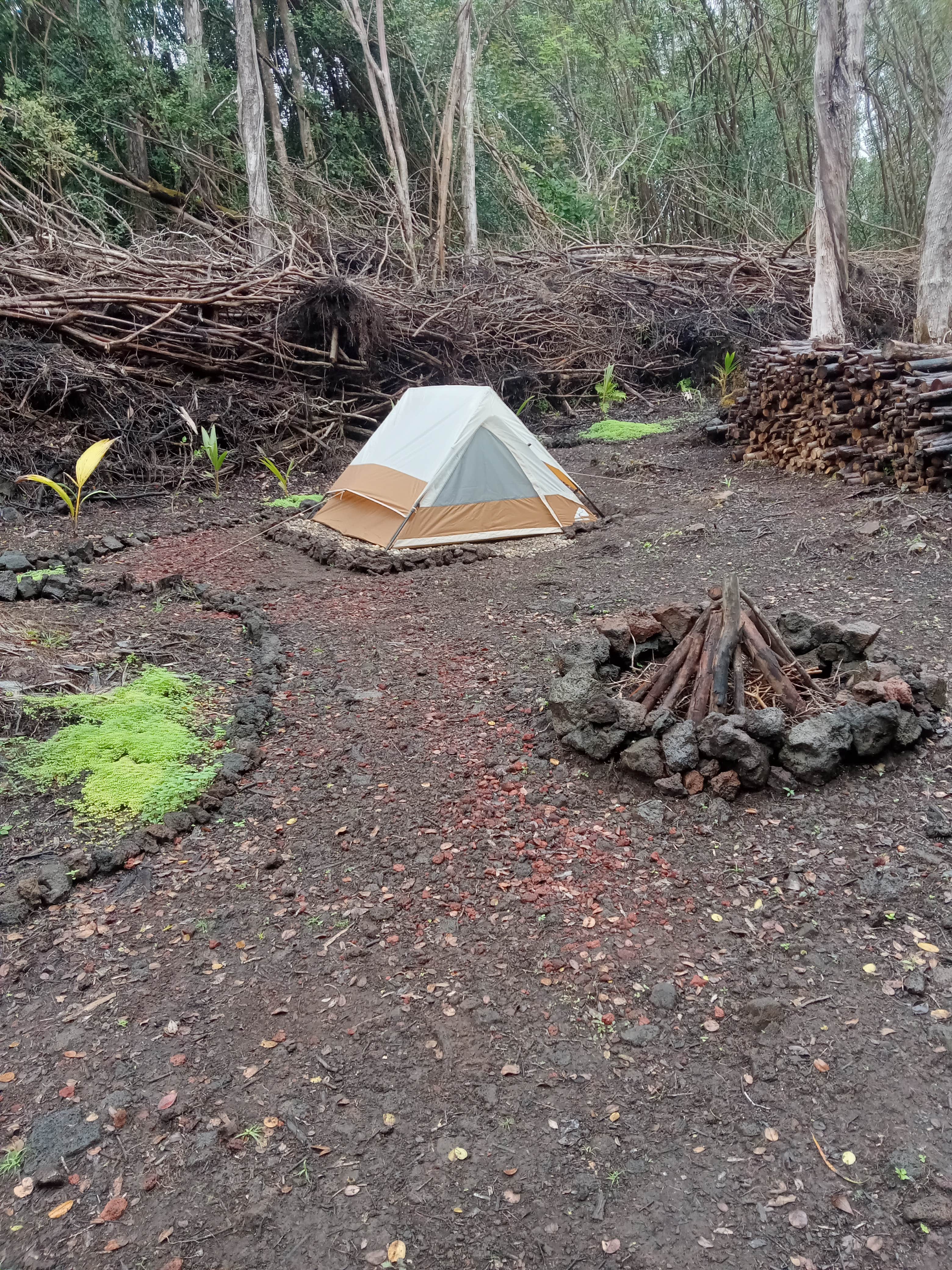 Jeffrey B.'s photo of tent camping at Jeff's on Molokai near Hawaiian Paradise Park, HI