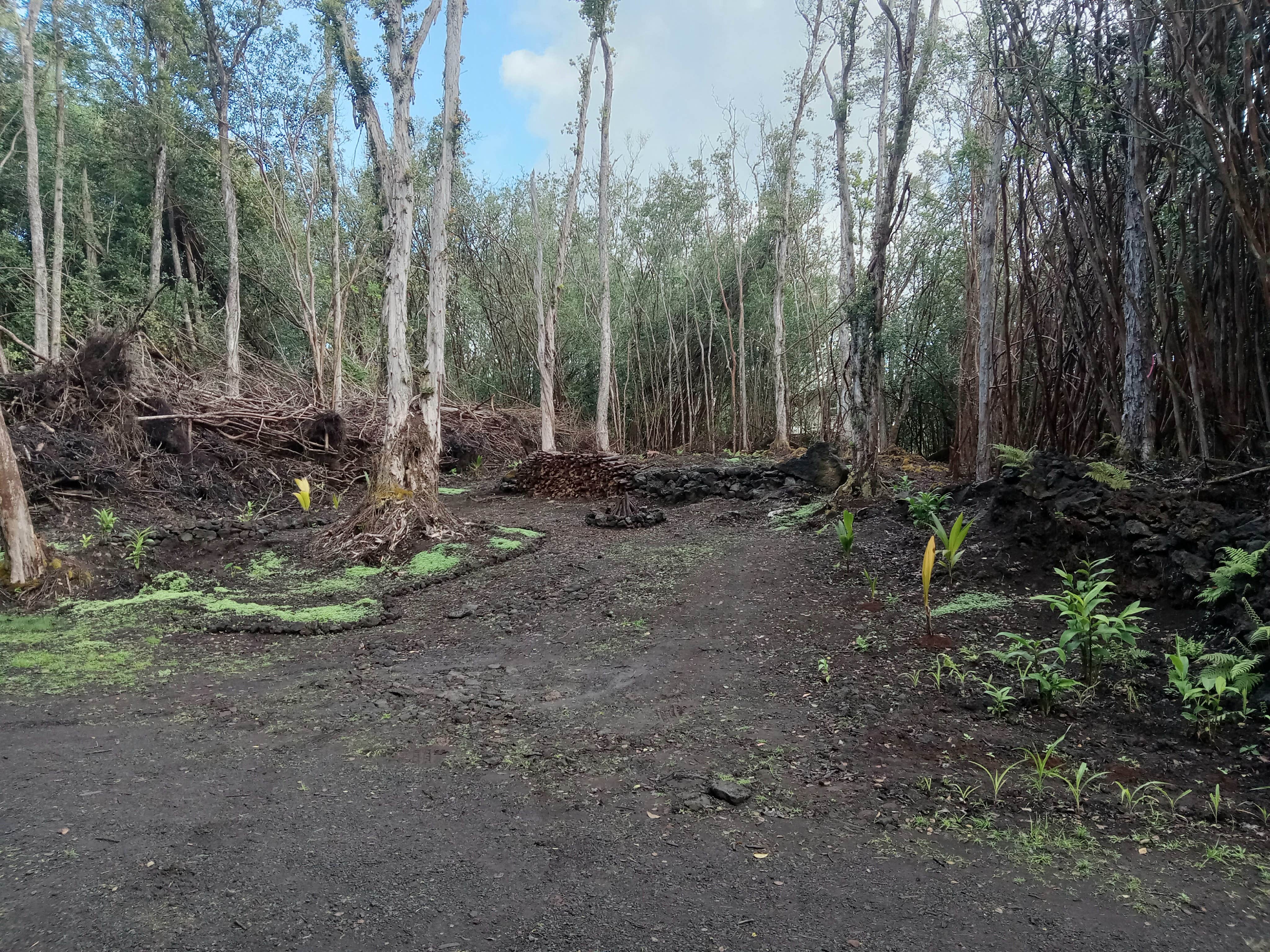 Camper submitted image from Jeff's on Molokai - 5