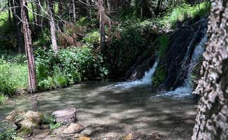 Cristina H.'s photo of camping with pets at Nelson Falls RV Park near Sequoia National Forest