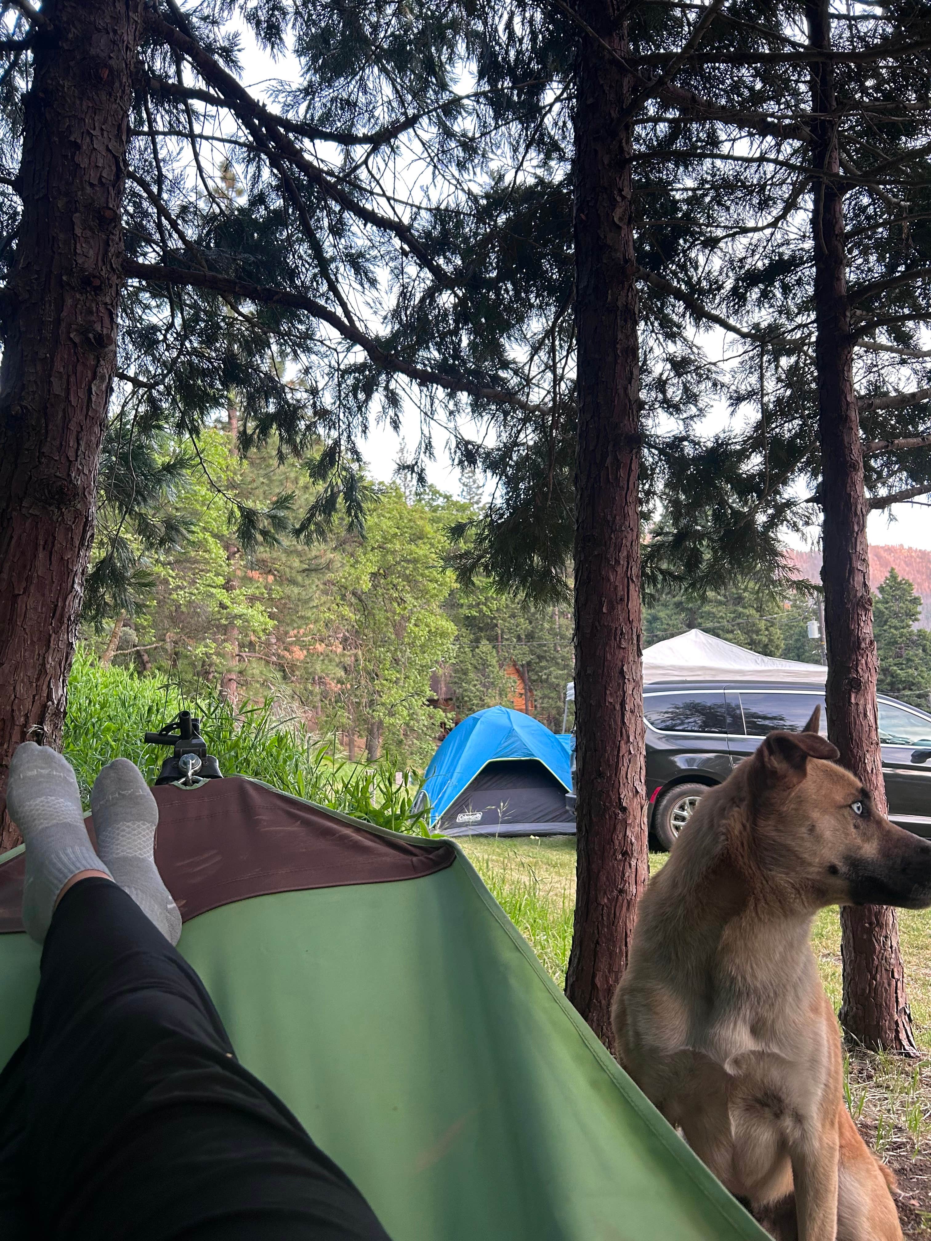 Camper-submitted photo at Nelson Falls RV Park near Sequoia & Kings Canyon National Parks