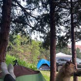 Review photo of Nelson Falls RV Park by Cristina H., May 26, 2025