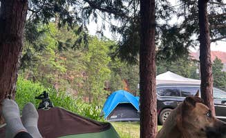 Cristina H.'s photo at Nelson Falls RV Park near Sunland, CA