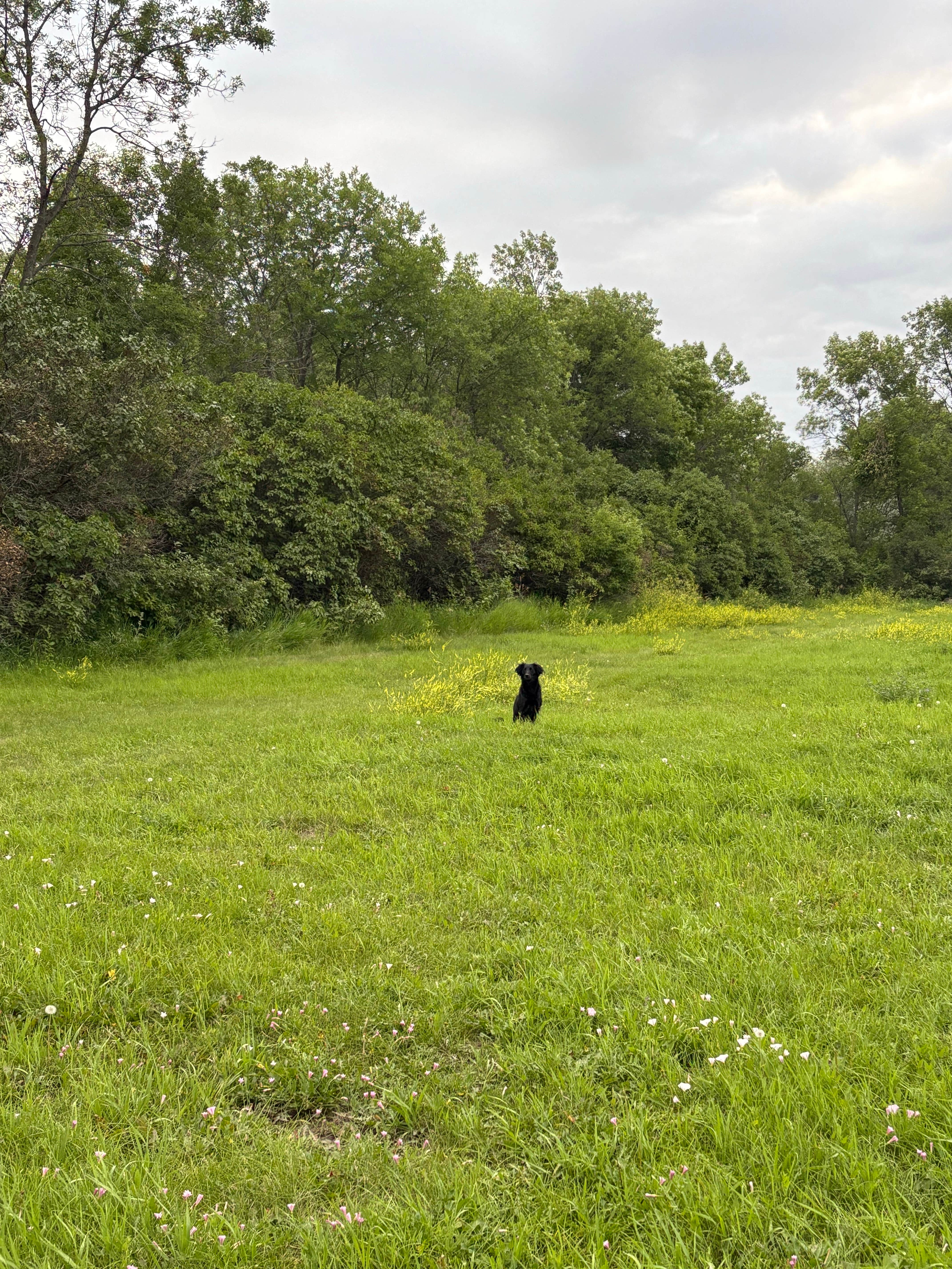 Camping near Northview RV & Mobile Home: Nelson Lake, Center, North Dakota